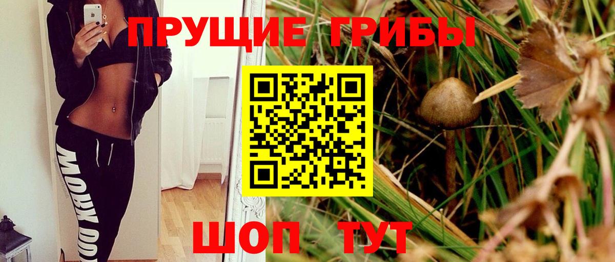 Галлюциногенные грибы ЛСД Кореновск
